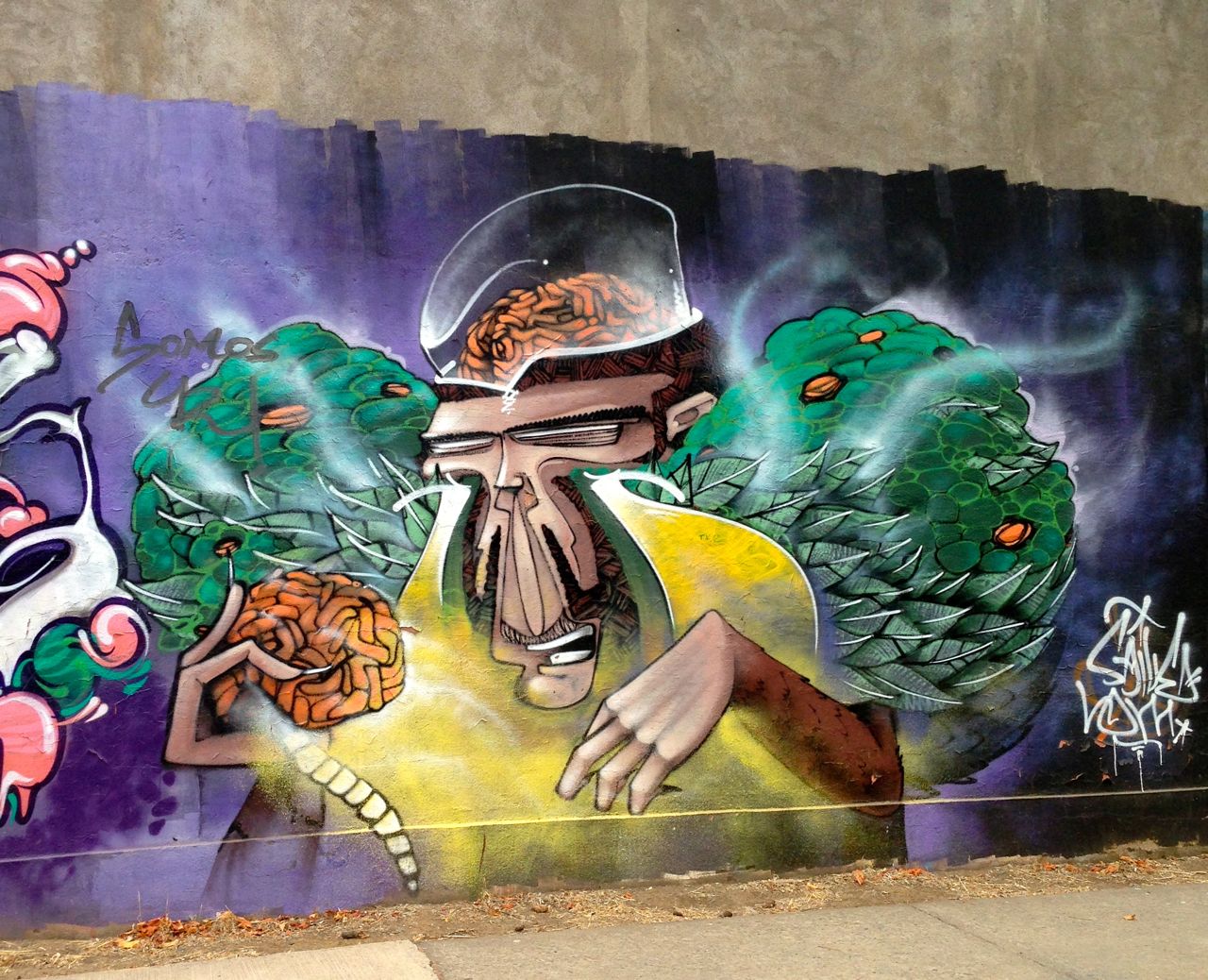 Graffiti from Santiago, Chile | Lars